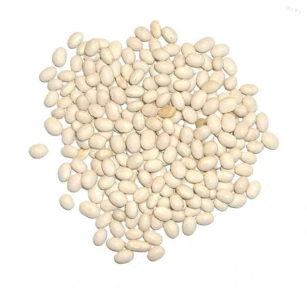 Fazuľa biela perlička 100g