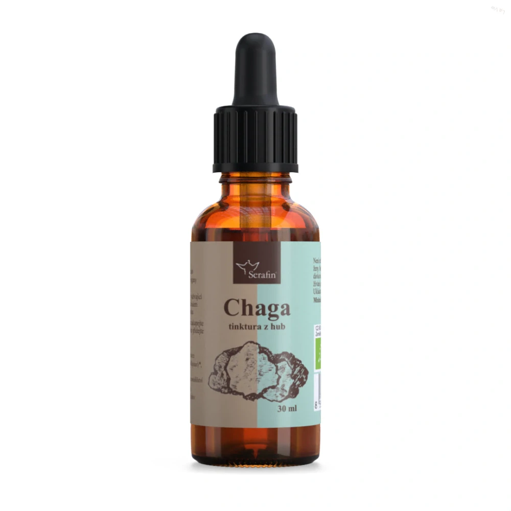 Chaga