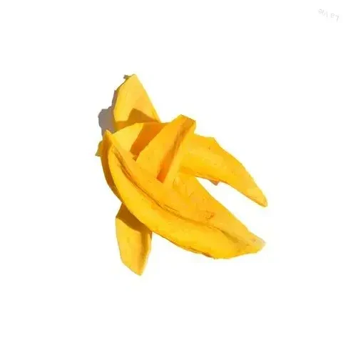 Mrazom sušené mango 100g