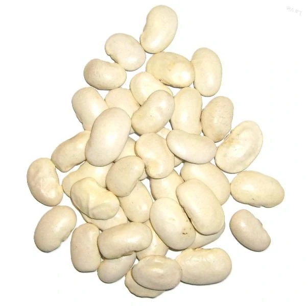 Fazuľa biela, veľká /maslová/ 100g
