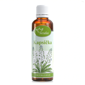Kapsička
