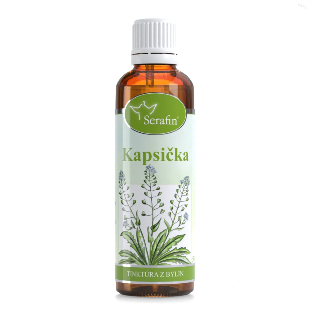 Kapsička