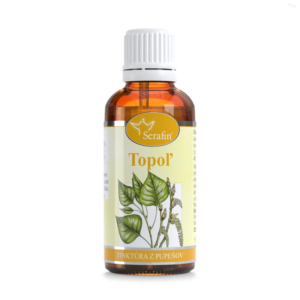Topoľ