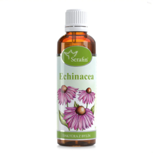 Echinacea