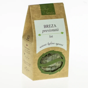 Breza previsnutá list