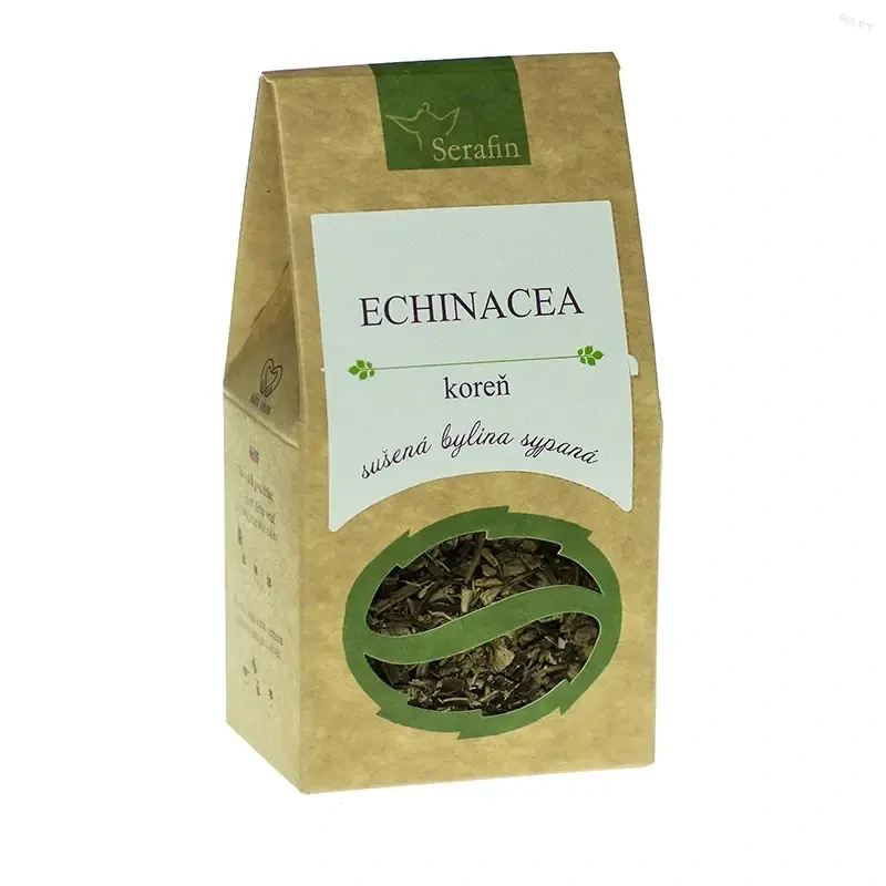 Echinacea purpurová koreň
