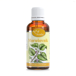 Morušovník