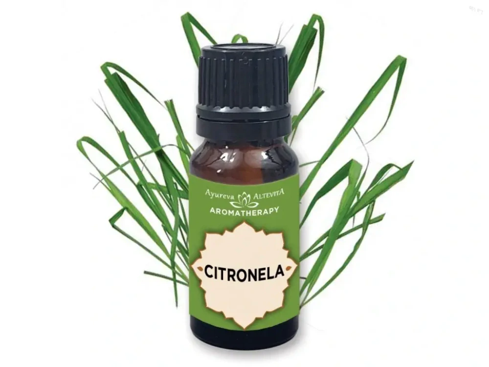 CITRONELA – Olej jasnosti a očistnej sily