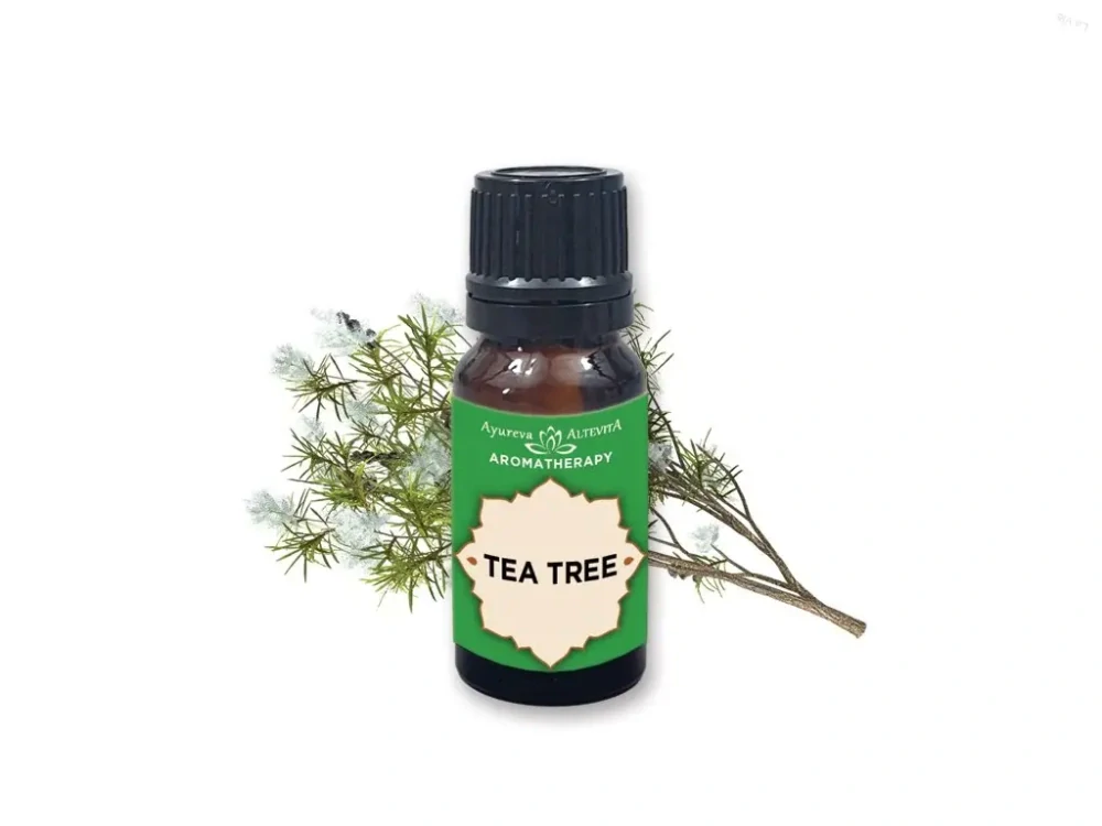 TEA TREE (čajovník) - Olej bez hraníc – Obrázok 2