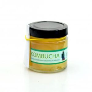 Kombucha násada - Stevikom 150ml